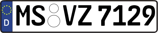 MS-VZ7129