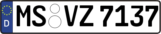MS-VZ7137