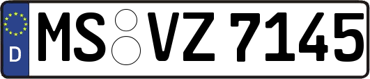 MS-VZ7145