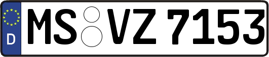 MS-VZ7153