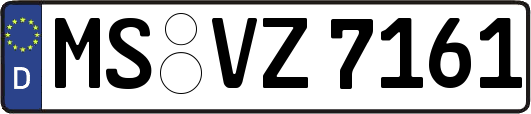 MS-VZ7161