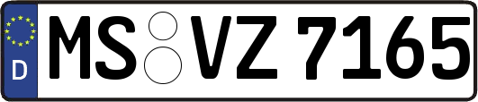 MS-VZ7165