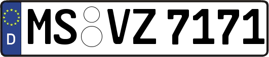 MS-VZ7171