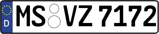 MS-VZ7172