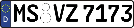 MS-VZ7173