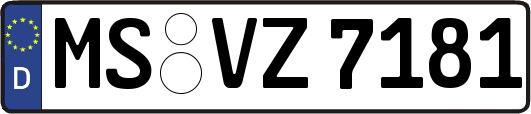 MS-VZ7181