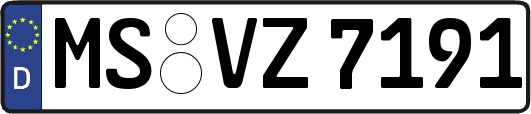 MS-VZ7191