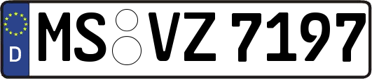 MS-VZ7197