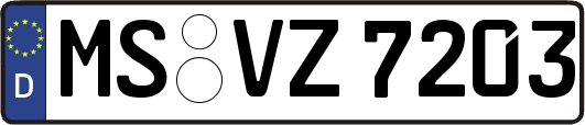 MS-VZ7203