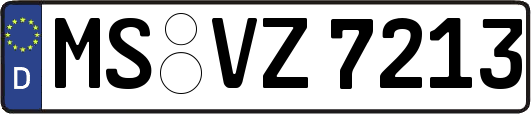 MS-VZ7213