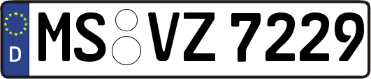MS-VZ7229