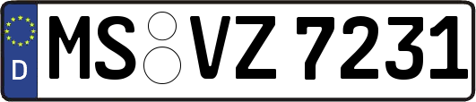 MS-VZ7231