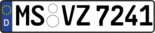 MS-VZ7241