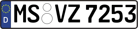 MS-VZ7253