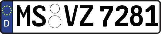 MS-VZ7281