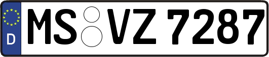 MS-VZ7287