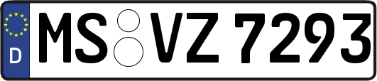 MS-VZ7293