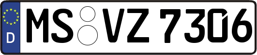 MS-VZ7306