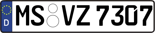 MS-VZ7307