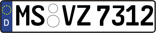 MS-VZ7312