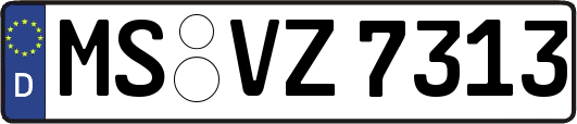 MS-VZ7313
