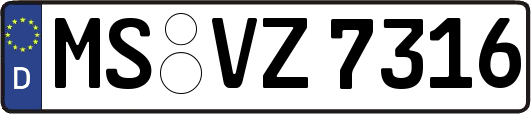 MS-VZ7316