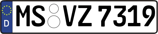 MS-VZ7319