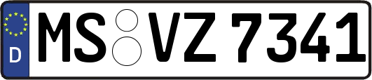 MS-VZ7341