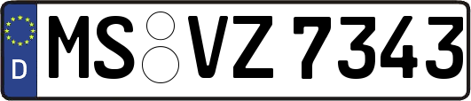 MS-VZ7343