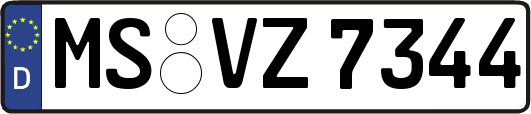 MS-VZ7344
