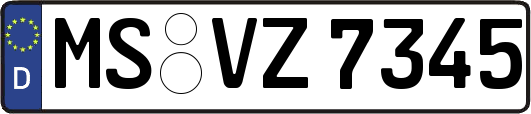 MS-VZ7345