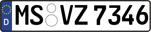 MS-VZ7346