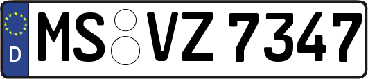 MS-VZ7347