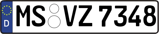 MS-VZ7348
