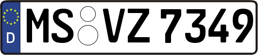 MS-VZ7349