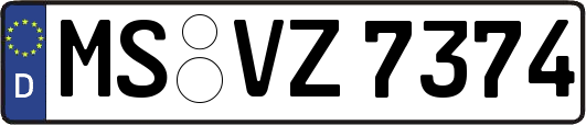 MS-VZ7374