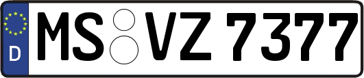 MS-VZ7377