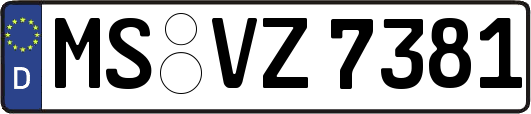MS-VZ7381