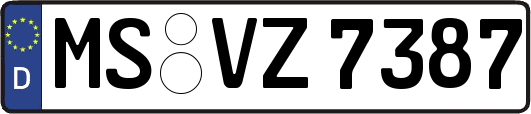 MS-VZ7387