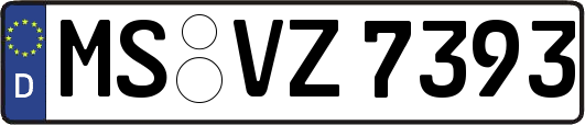 MS-VZ7393