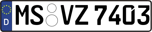 MS-VZ7403