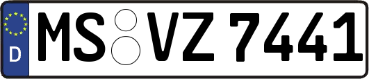 MS-VZ7441
