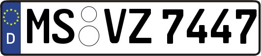MS-VZ7447
