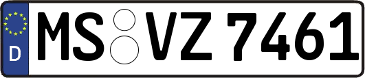 MS-VZ7461