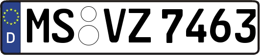 MS-VZ7463
