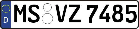 MS-VZ7485