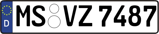 MS-VZ7487