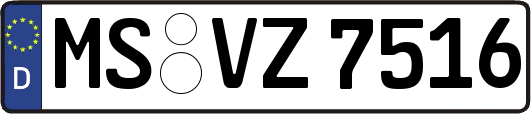MS-VZ7516