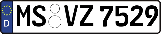 MS-VZ7529