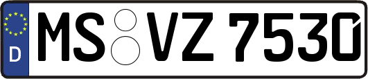 MS-VZ7530